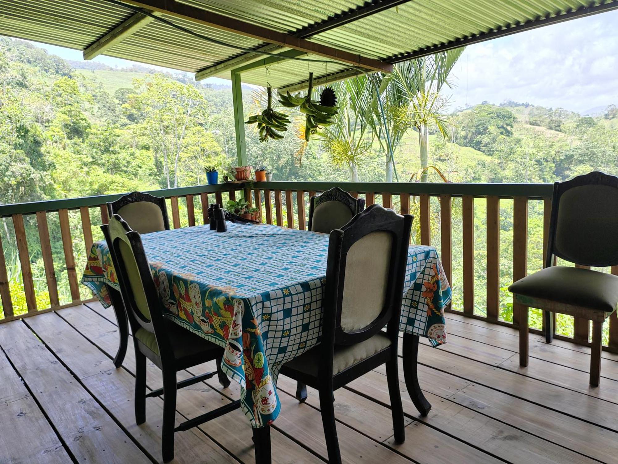 Bella Vista Guest House Turrialba Zewnętrze zdjęcie